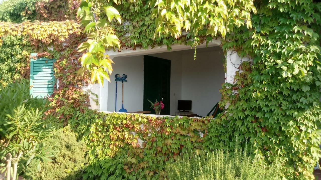 Apartment Salato